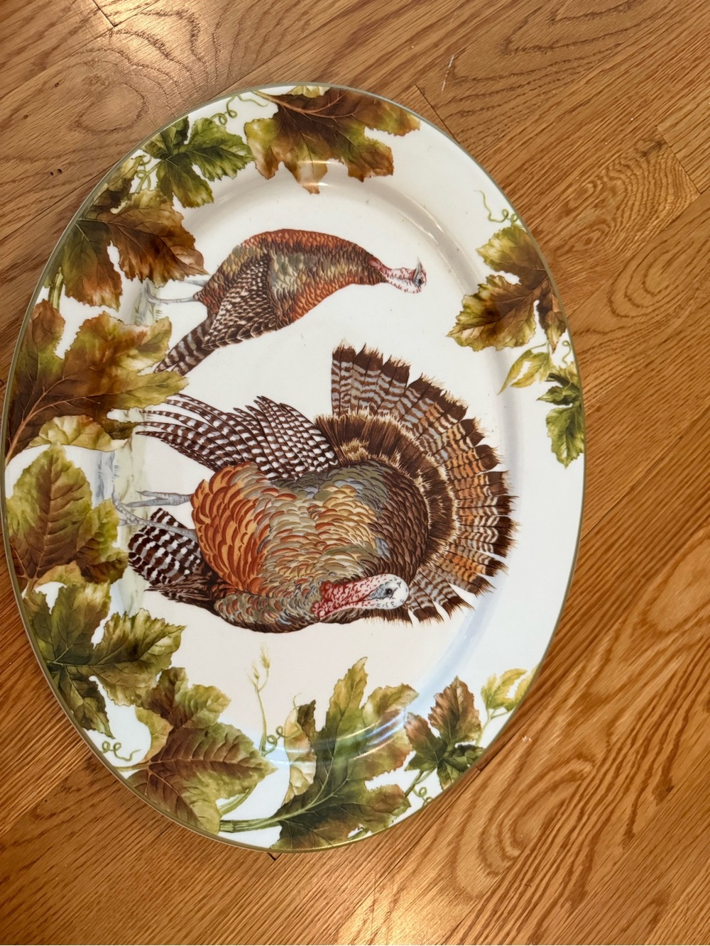 Williams Sonoma Turkey Platter in Brown & Green